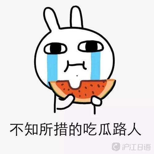 娱乐吃瓜酱money,揭秘娱乐圈背后的财富秘密